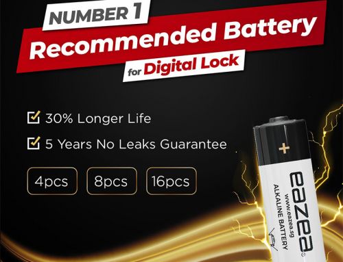 Rechargeable vs Non-Rechargeable Digital Door Lock Battery: Making the Right Choice